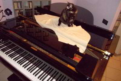 Massaggio sonoro al pianoforte
